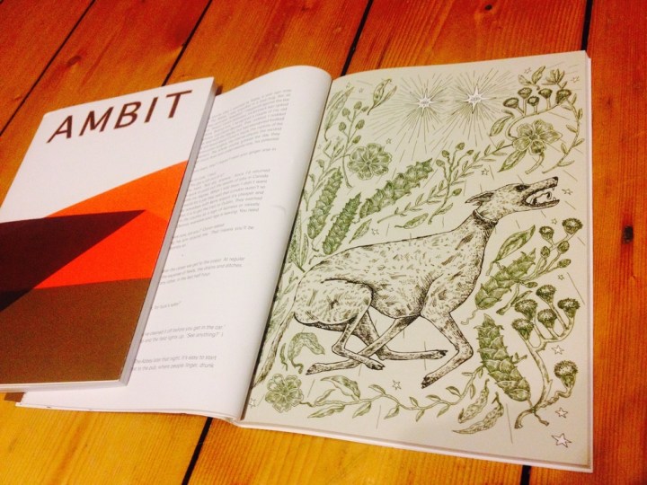 ambit